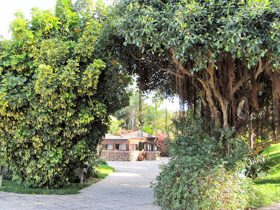 La Barraca Maritima